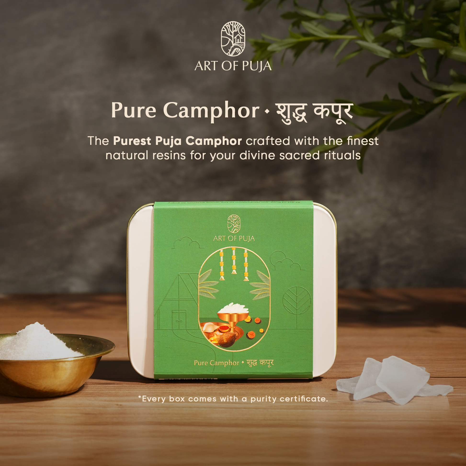 Pure Camphor