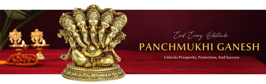 Collection Banner 4