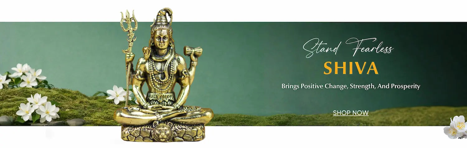 Collection Banner 1