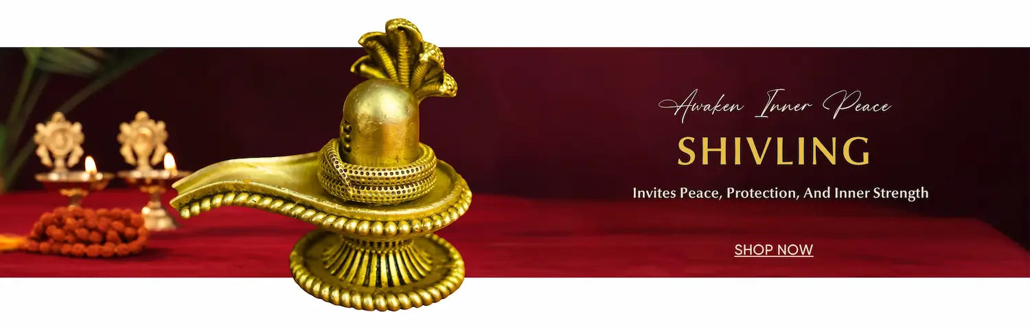 Collection Banner 2