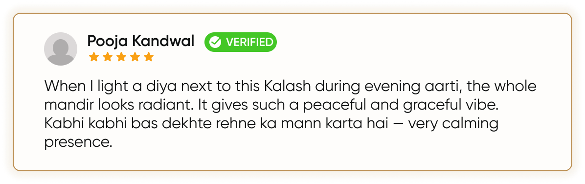 Customer Review 1
