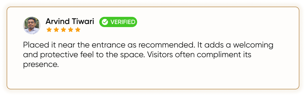 Customer Review 2