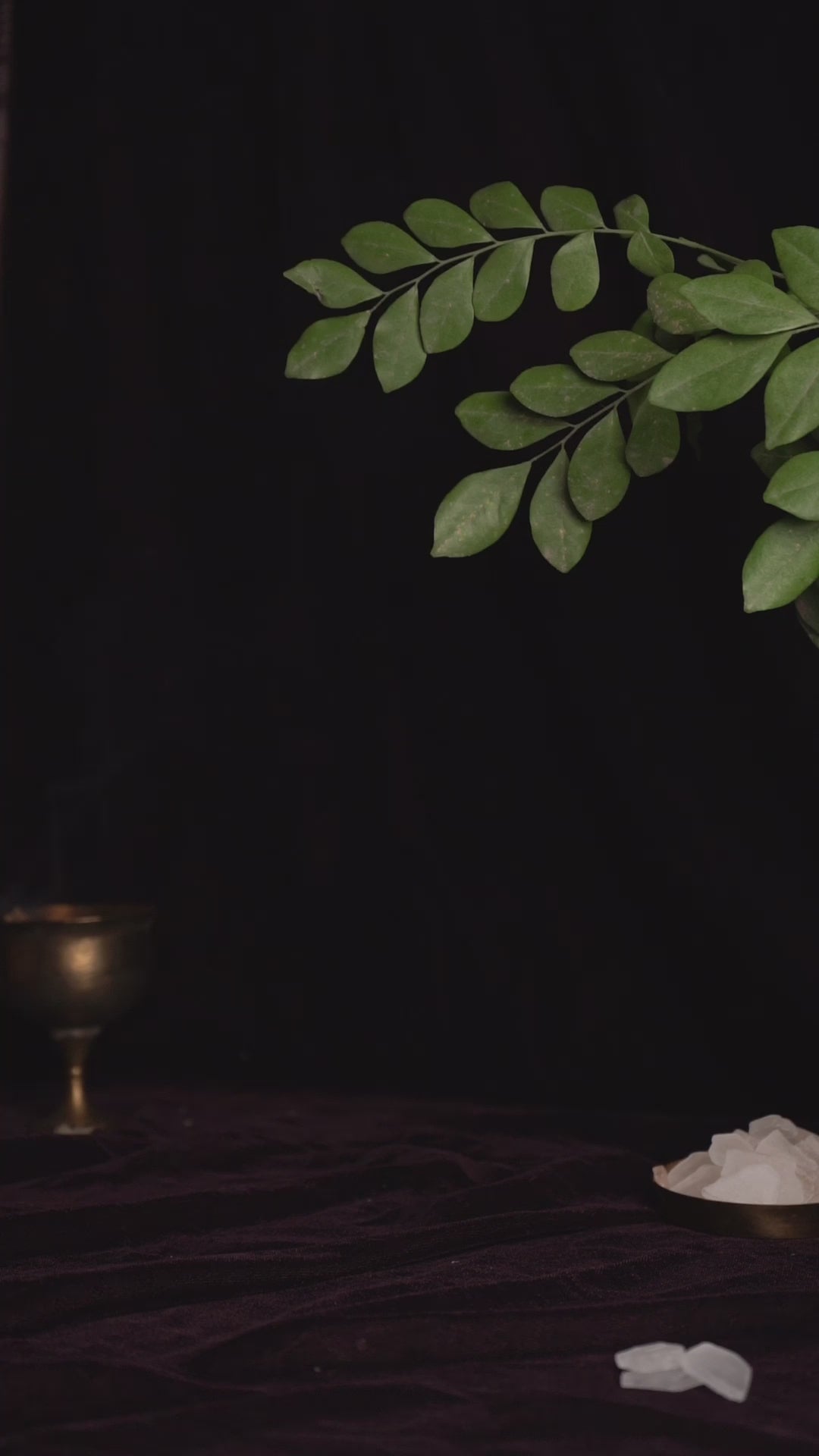 Bhimseni Camphor