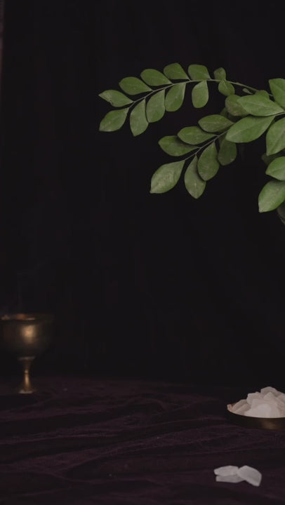 Bhimseni Kapoor (भीमसेनी कपूर) for Puja 100% Pure & Natural